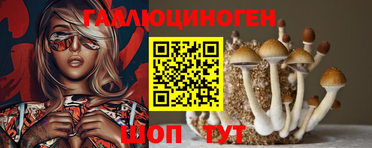 Ижевск  Псилоцибиновые грибы Magic Shrooms  Вход с VPN 